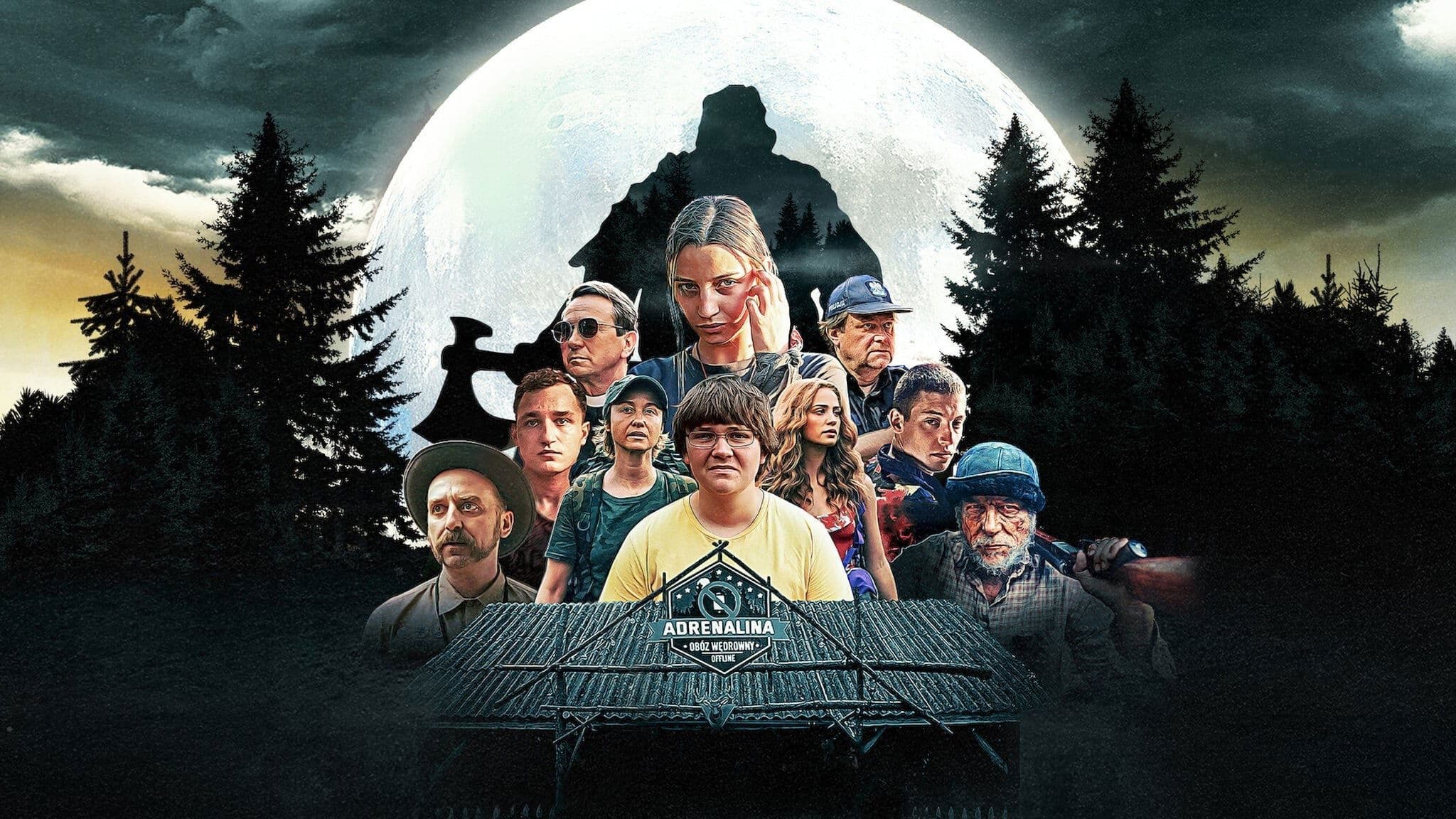 Nobody Sleeps in the Woods Tonight Collection