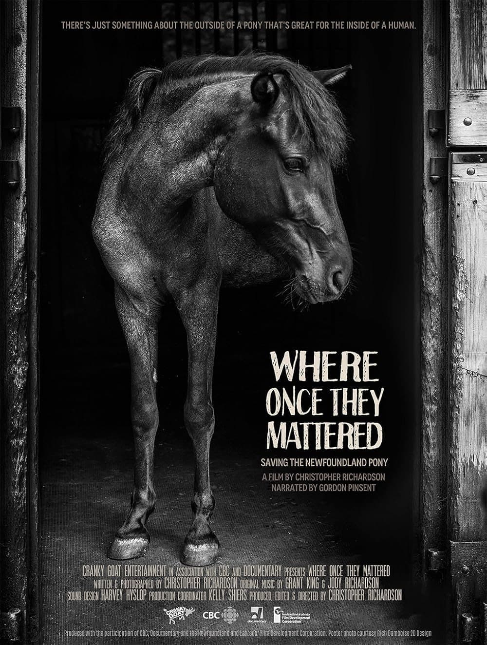 Where Once They Mattered