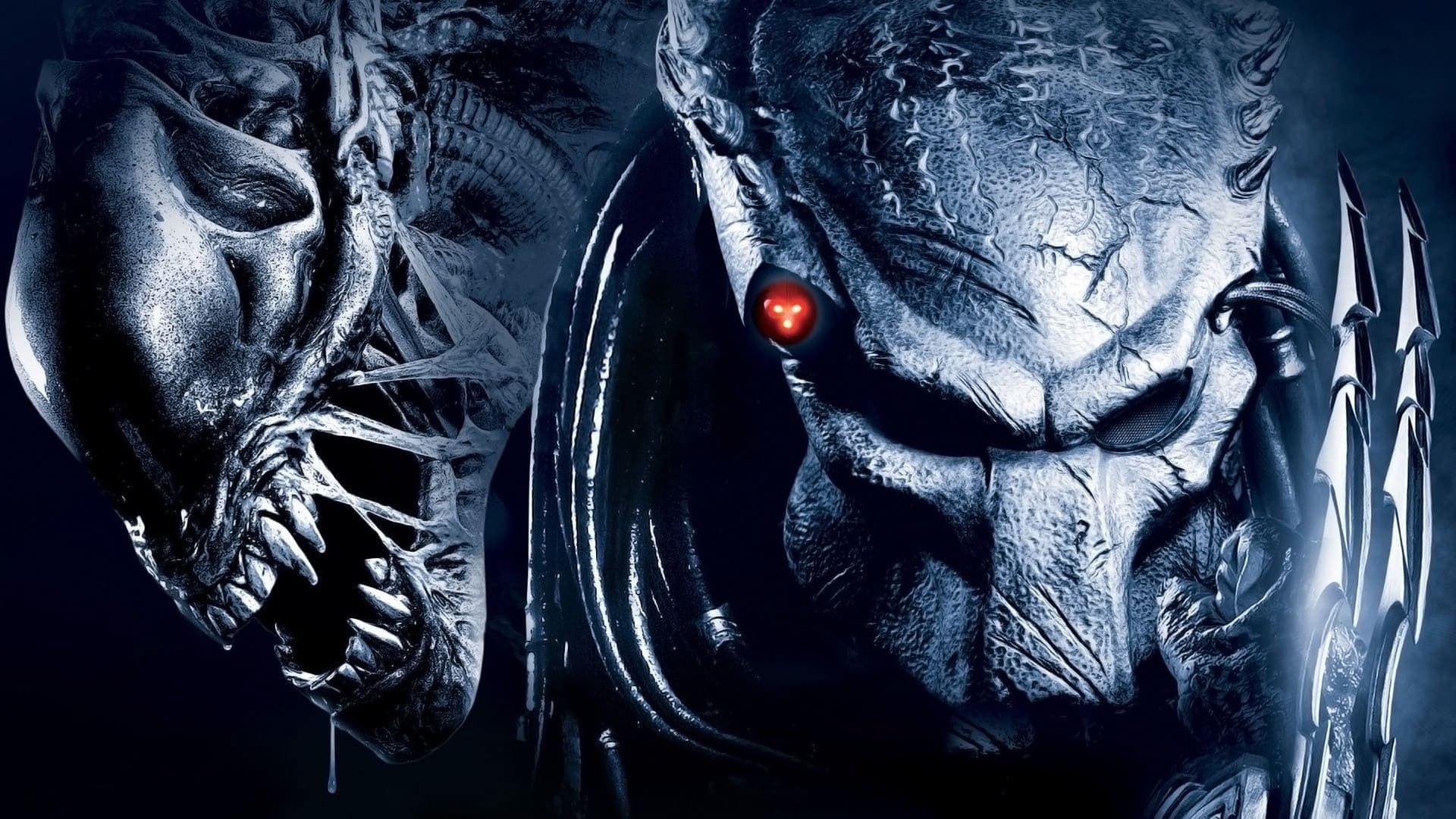 AVP Collection