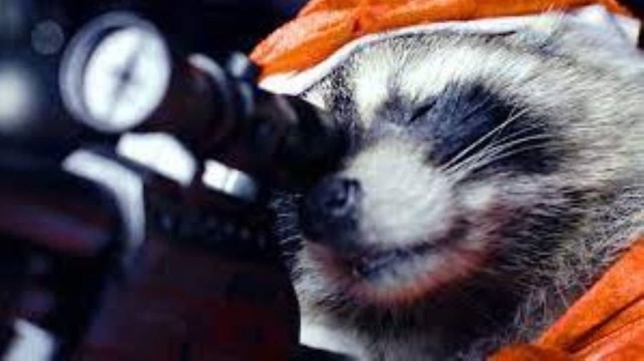 Killer 'Coons Collection