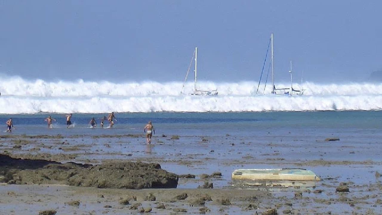 Tsunami: Caught on Camera