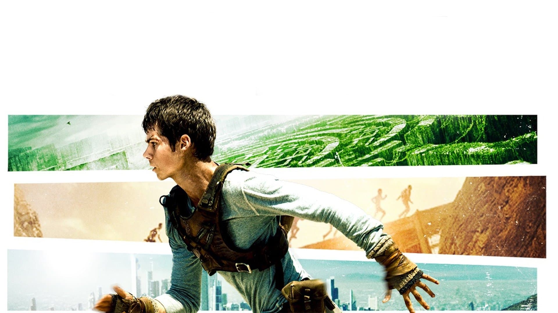 The Maze Runner Collection