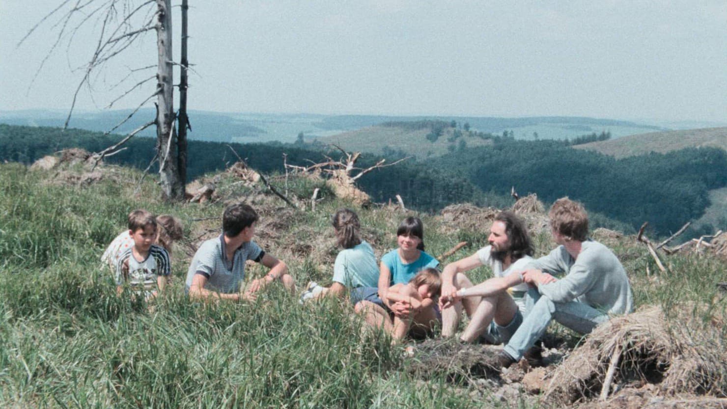 Farewell, Beautiful Forest… or How a Film Was Censored