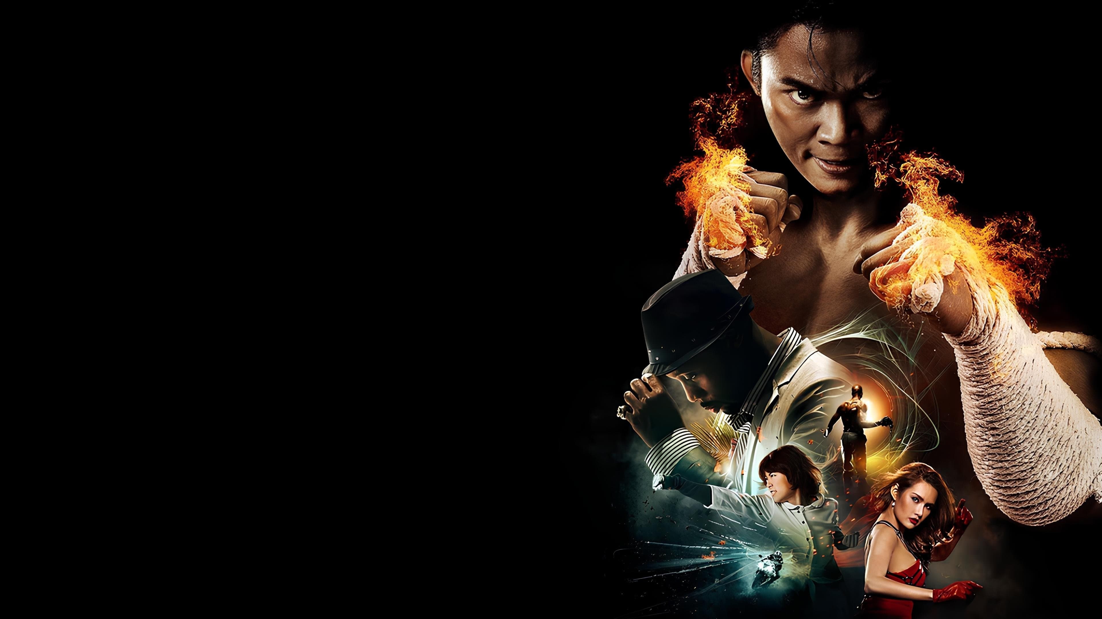 The Protector 2