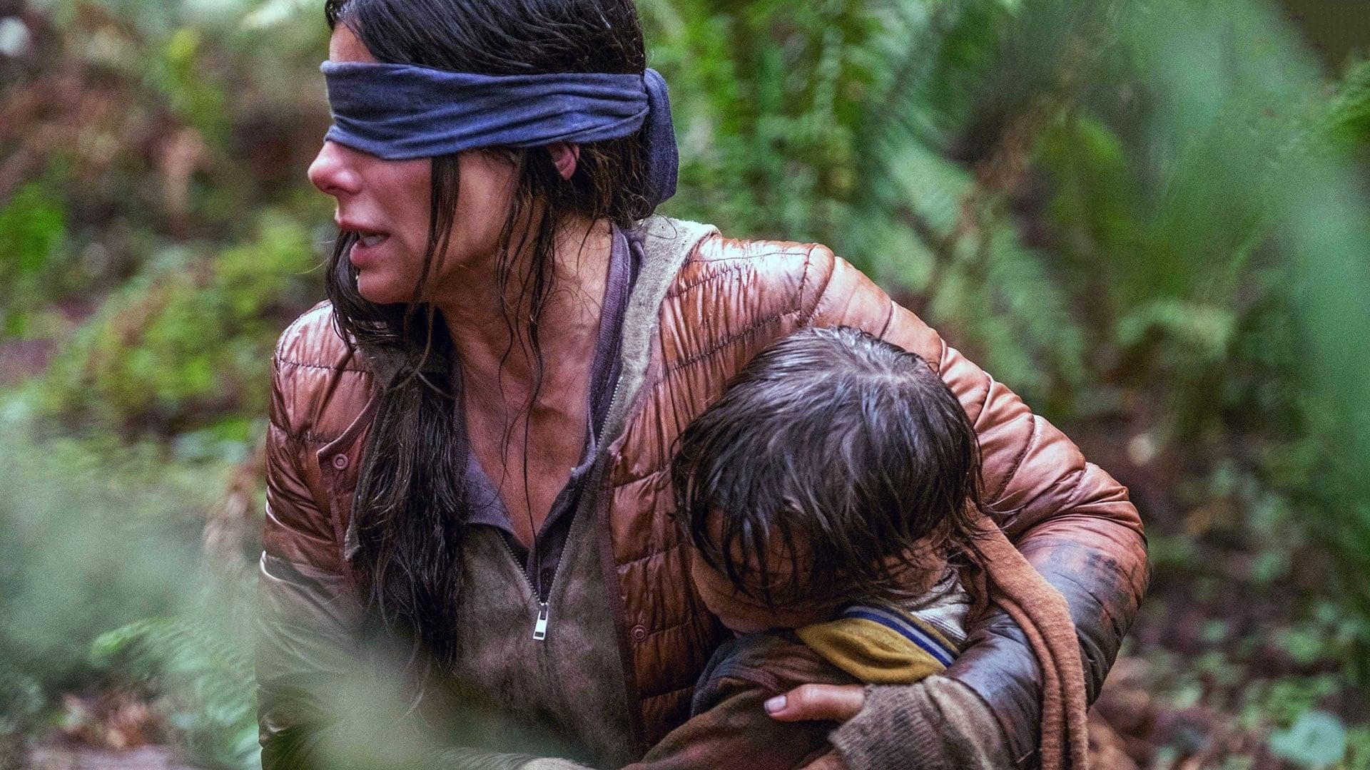 Bird Box Collection