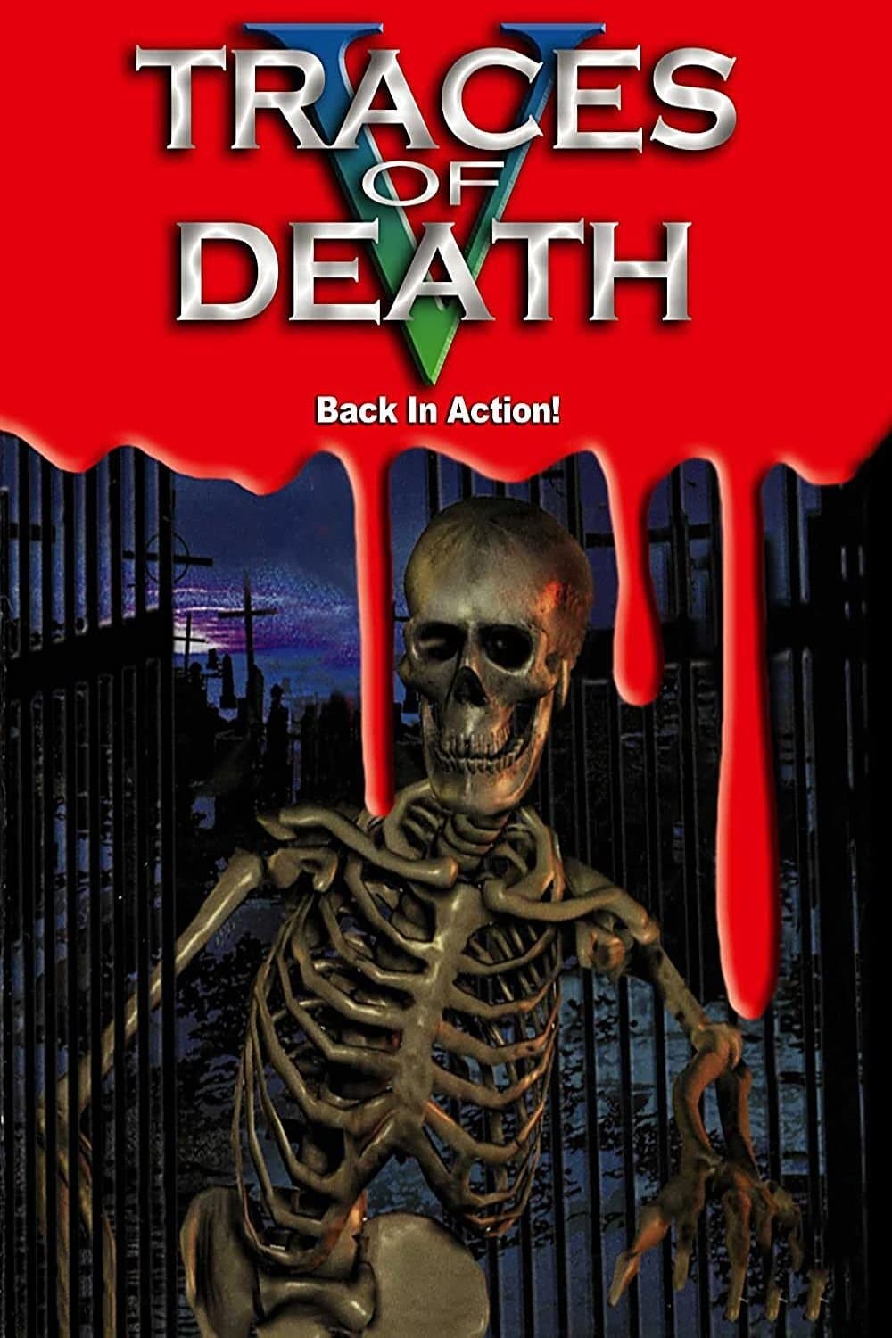 Traces of Death V