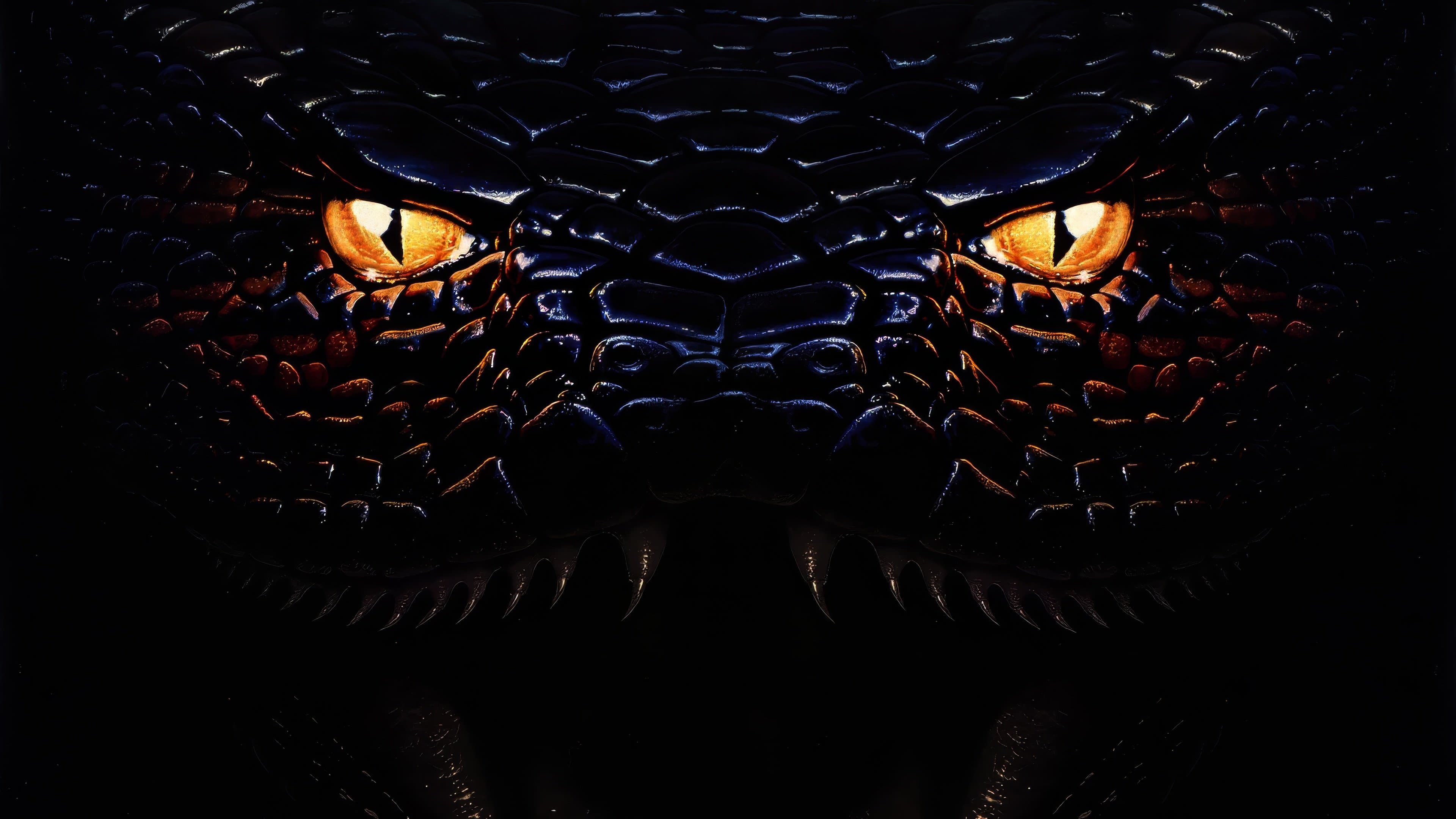 Anaconda