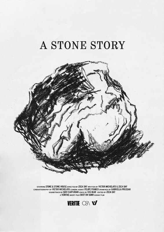 A Stone Story