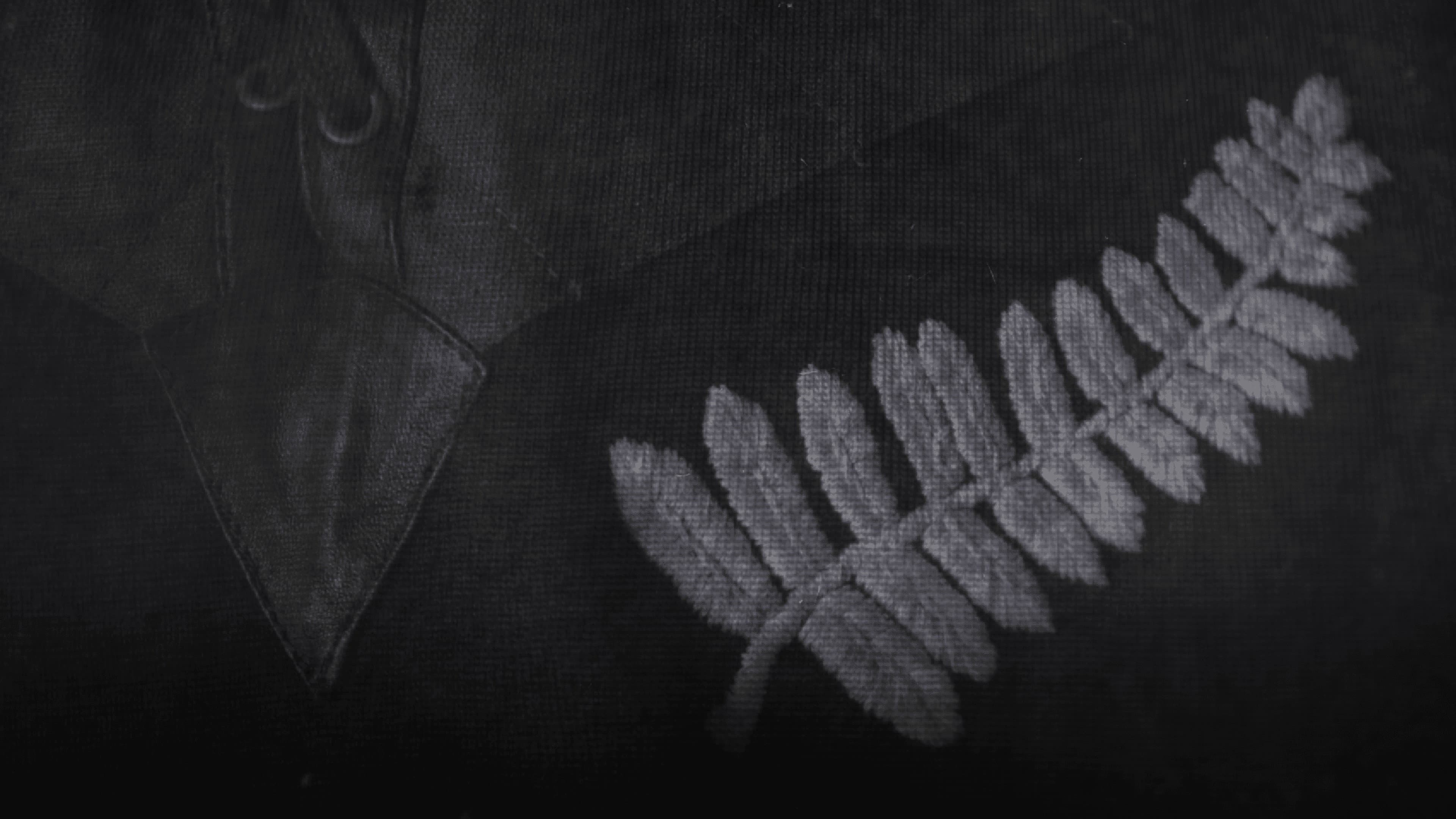 All Blacks at War