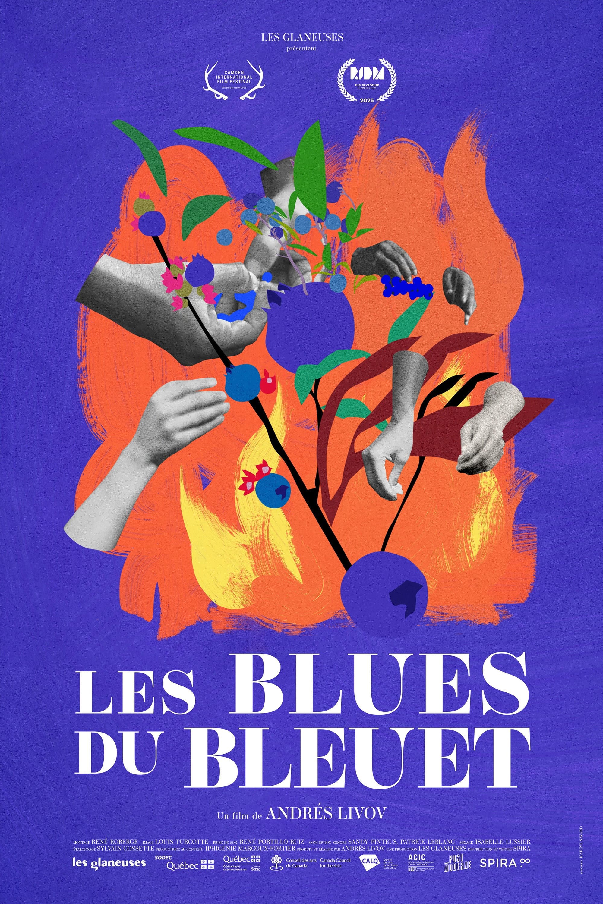 The Blueberry Blues