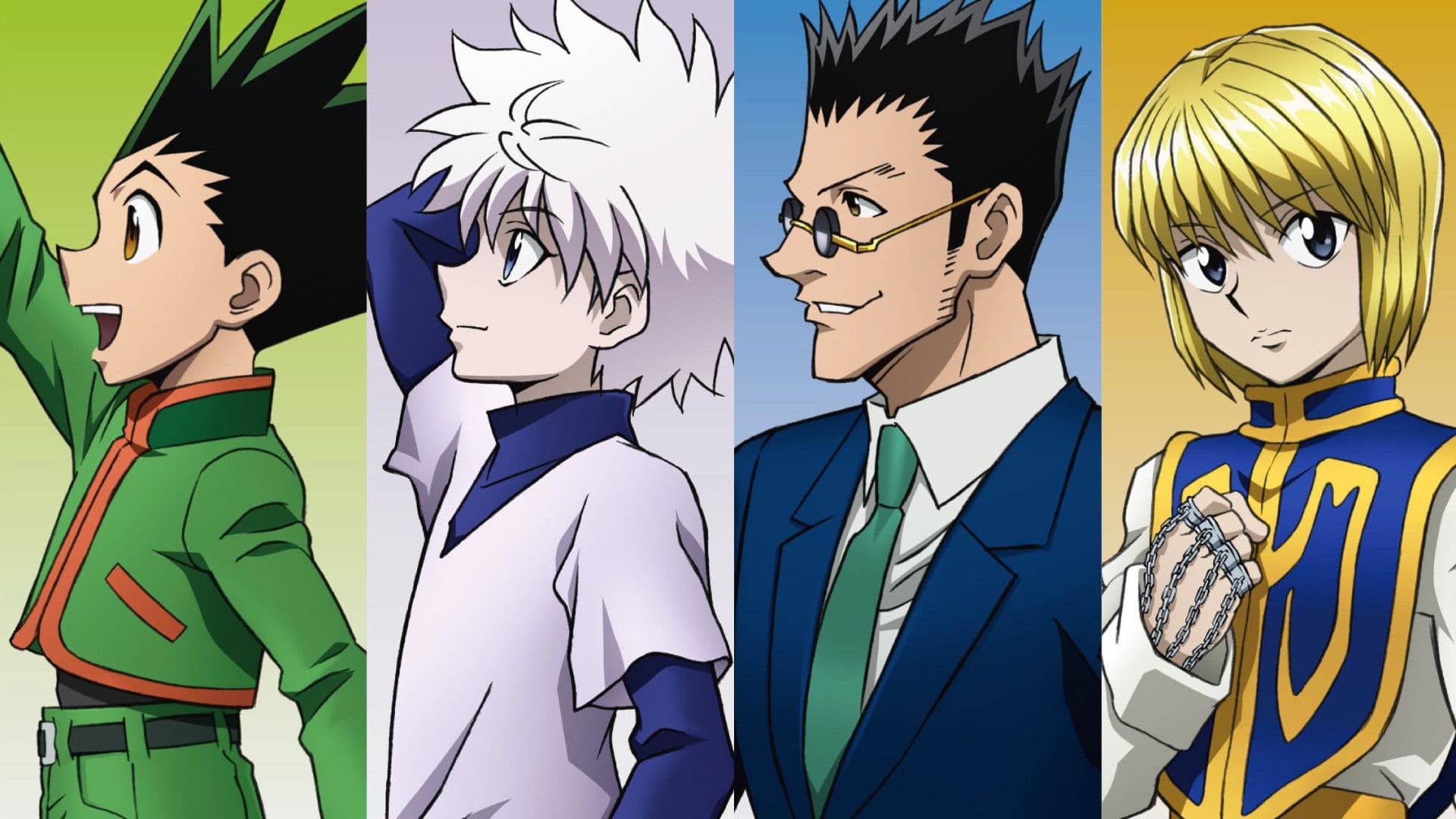 Hunter x Hunter Collection