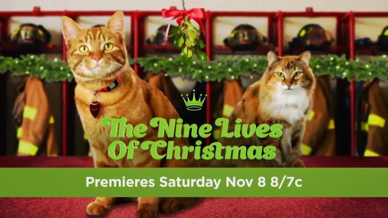 The Nine Lives of Christmas Collection