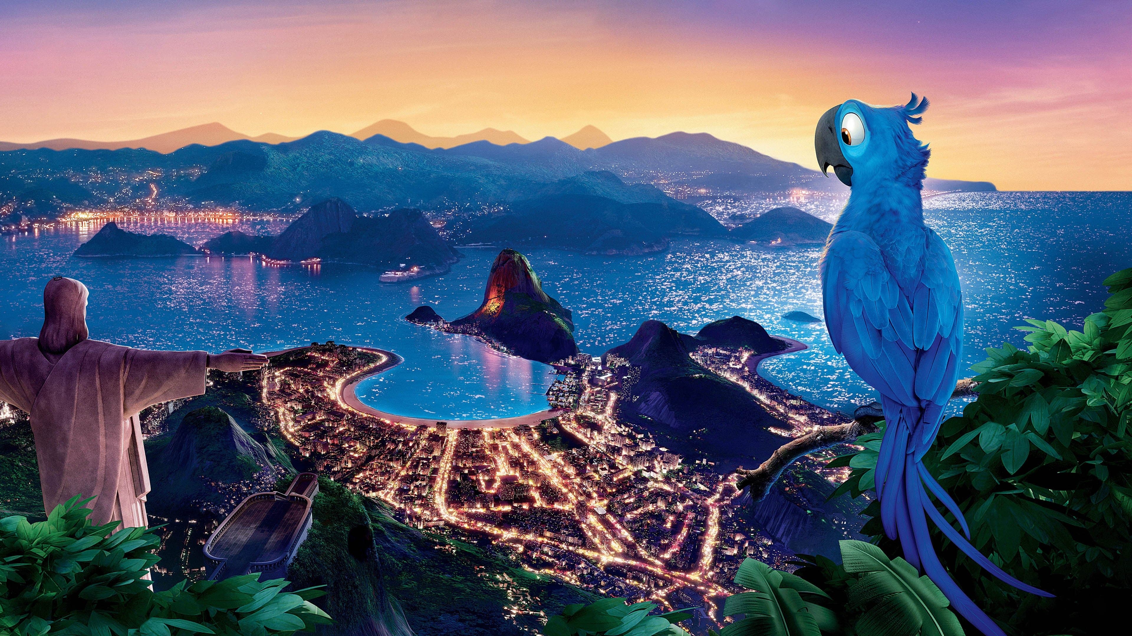 Rio Collection