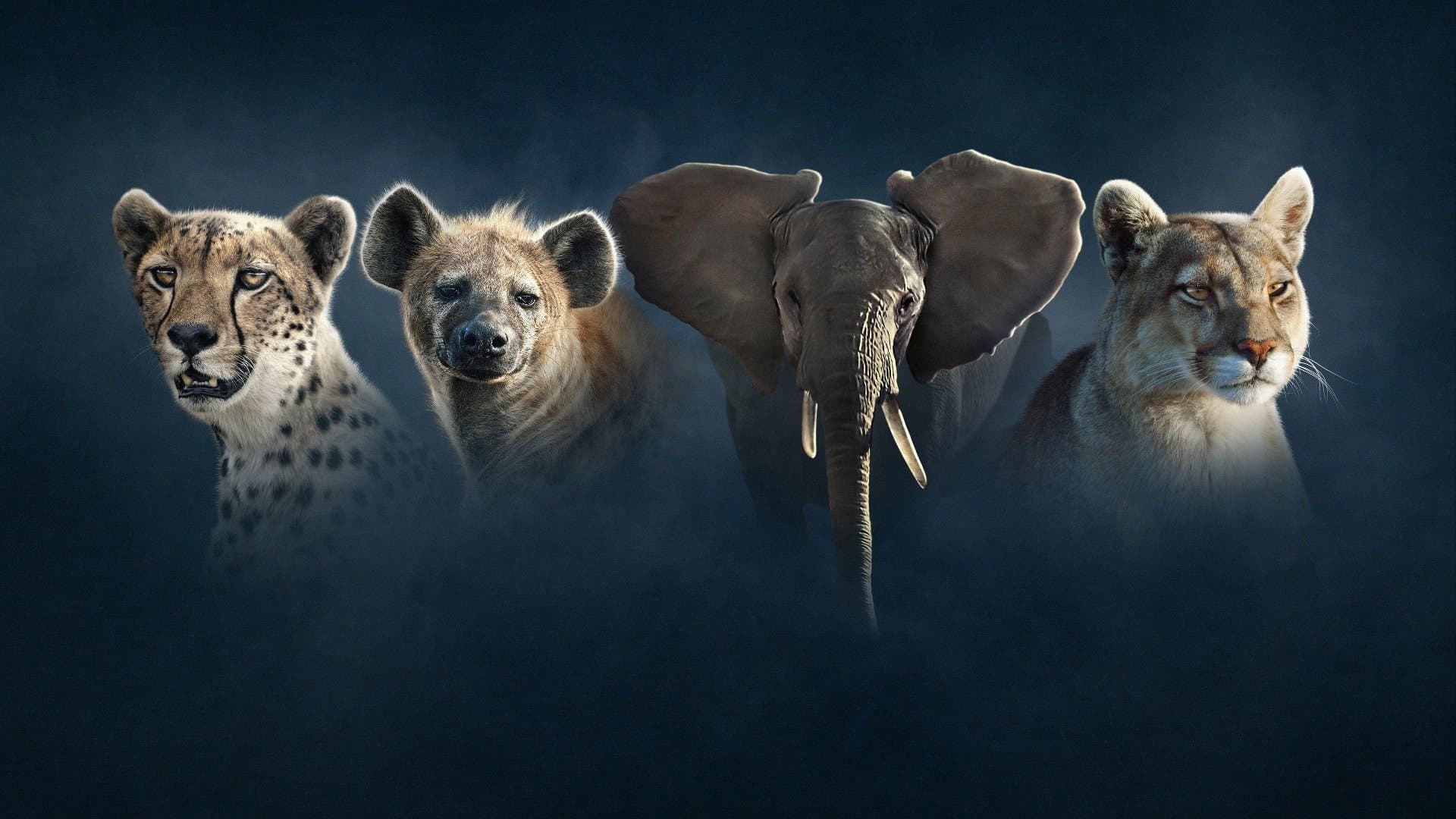 Dynasties II