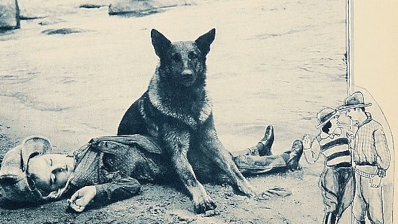 Wolfheart the Dog
