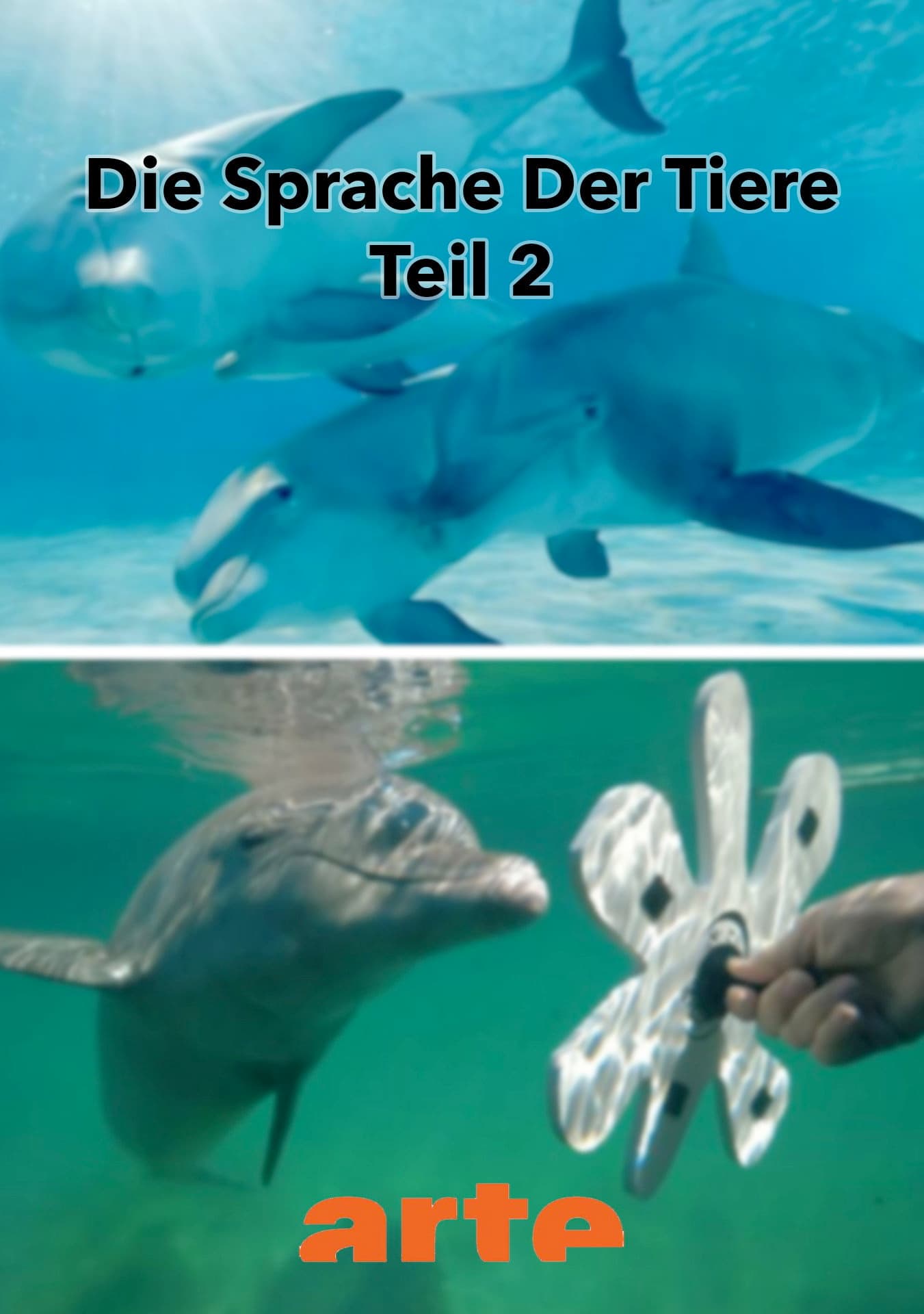 Die Eloquenz der Tiere (2/2)