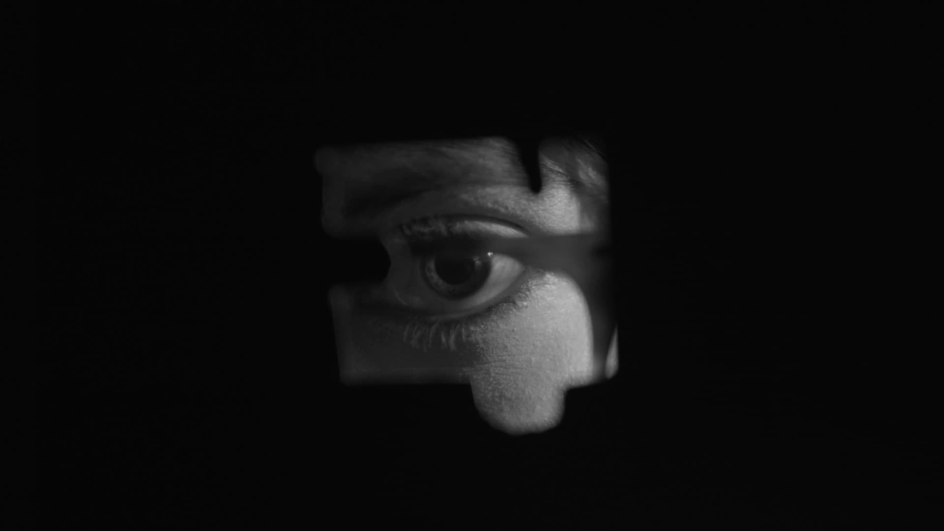 Iris Replica