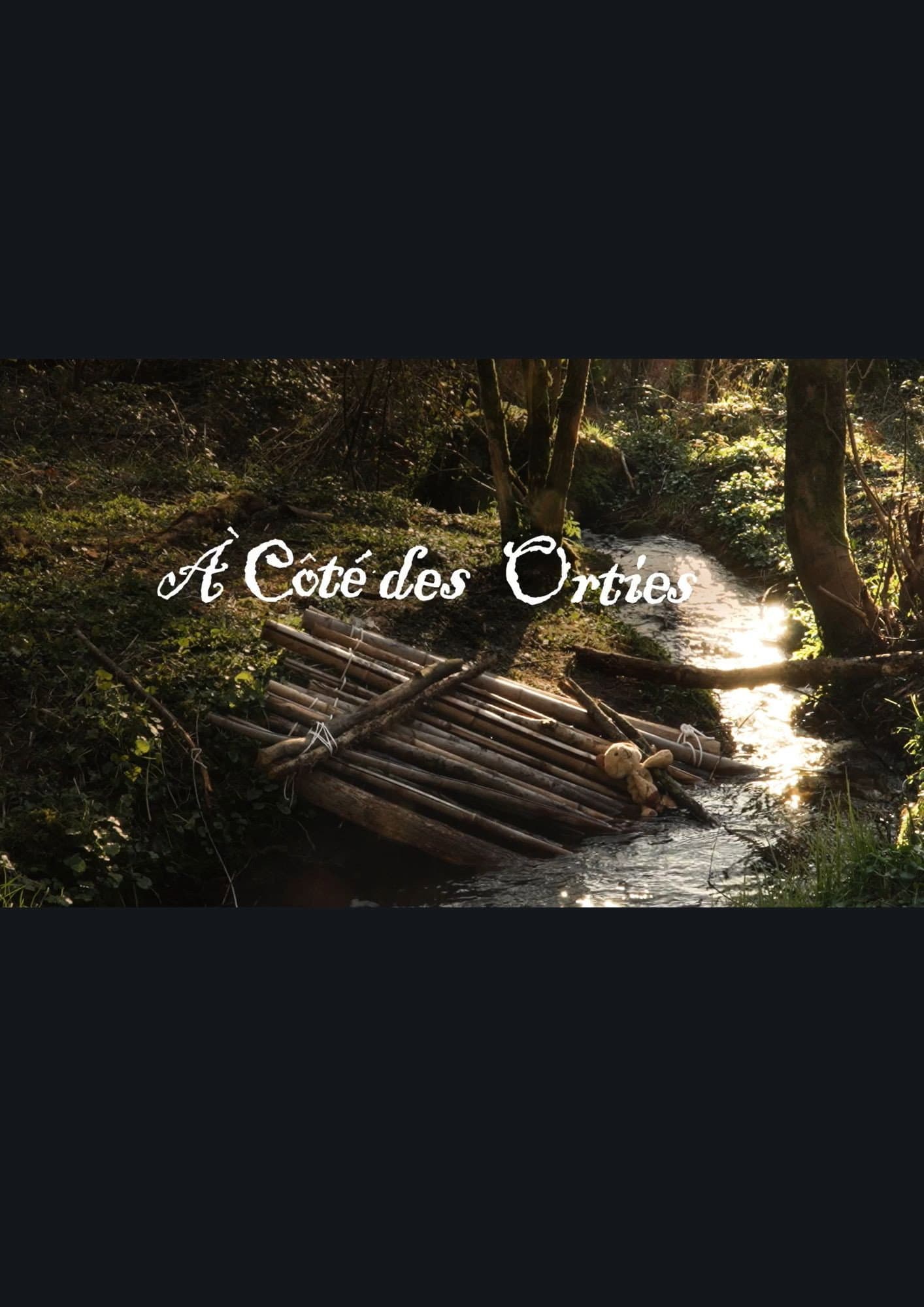 A côté des orties