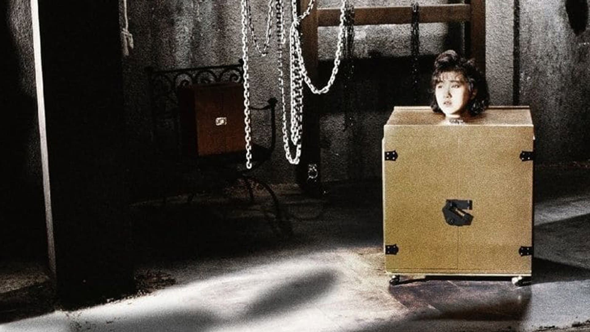 Woman in a Box Collection