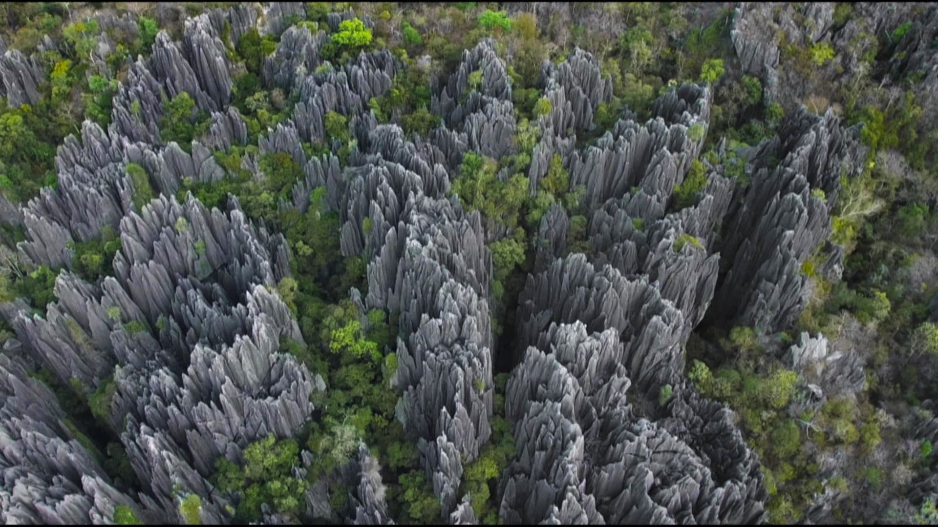 L'Histoire Secrète Des Paysages