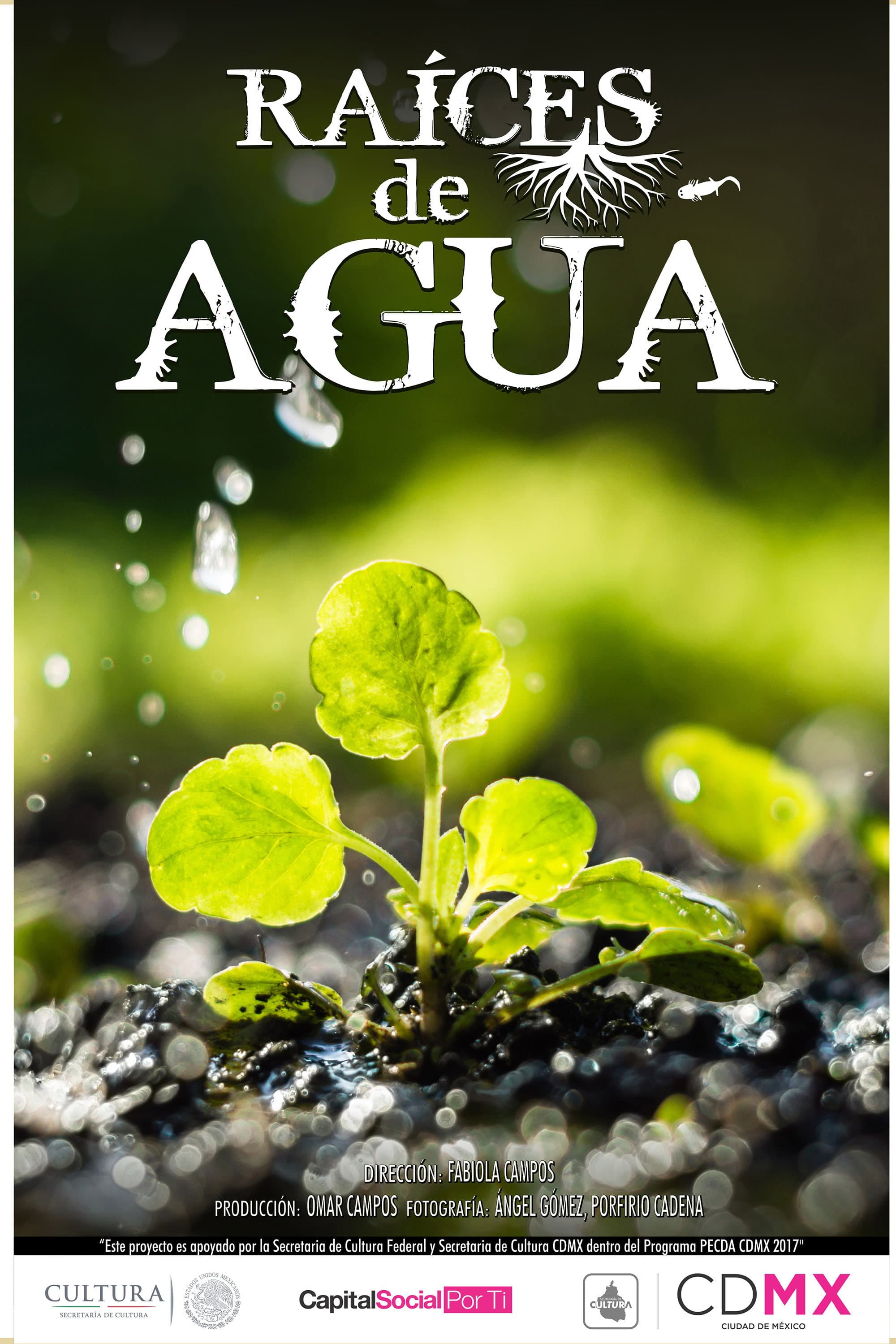Raíces de Agua