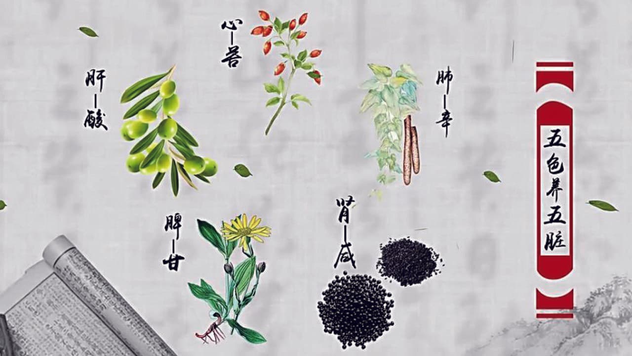 本草传