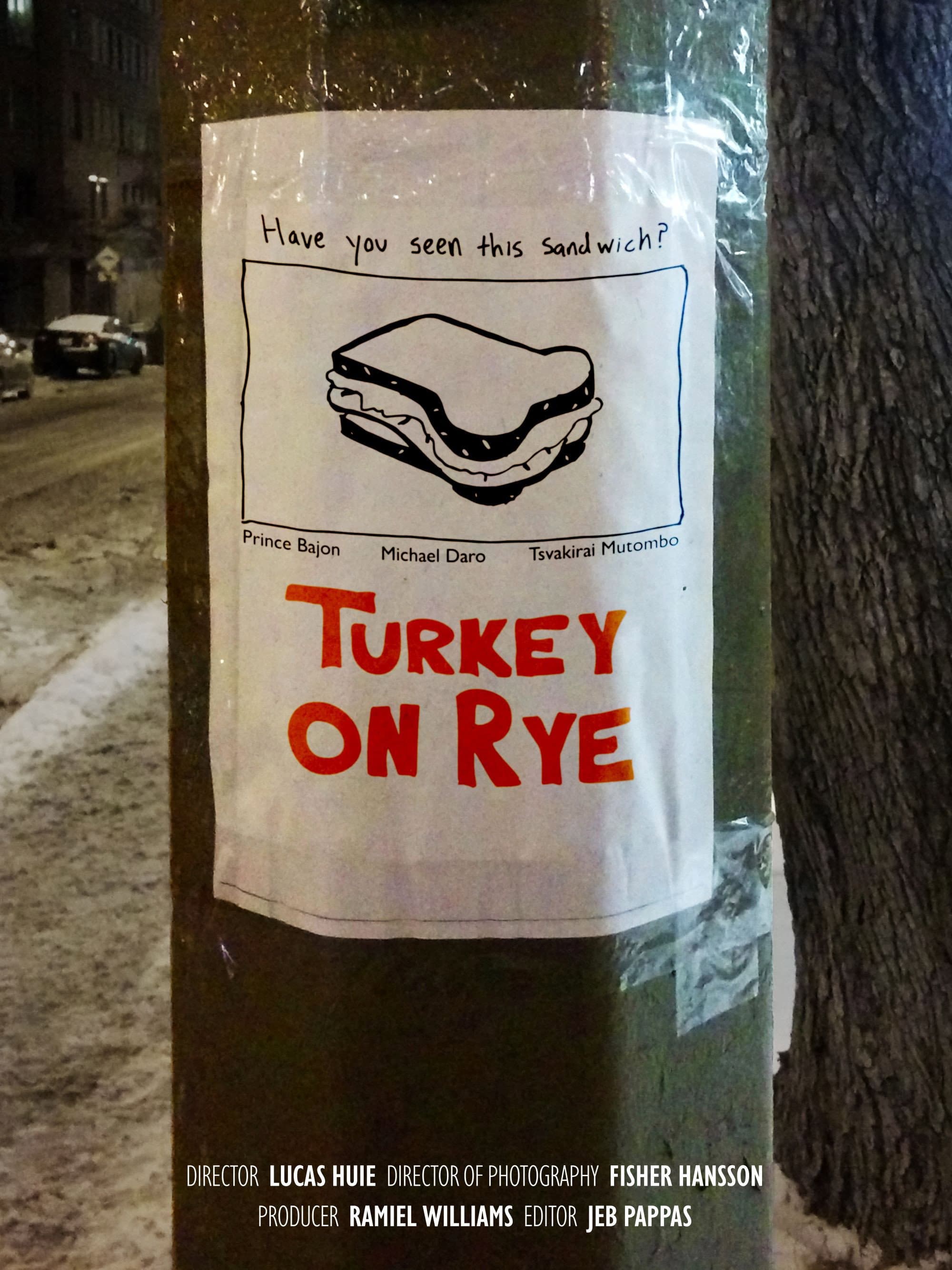 Turkey on Rye