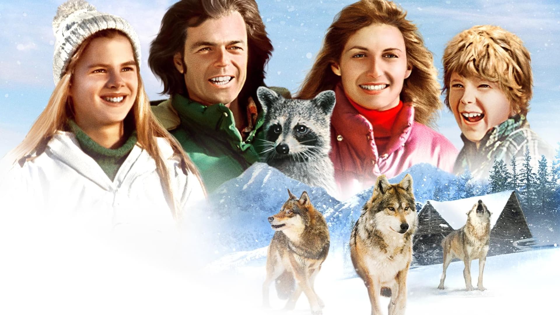 Adventures of the Wilderness Family 2