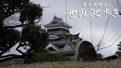 Episode 154