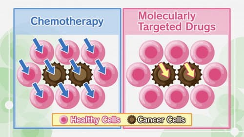 Lung Cancer #4: Pharmacological Treatments