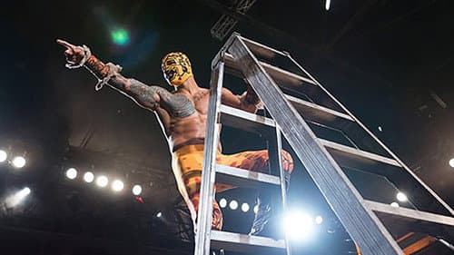 The Top of the Ladder