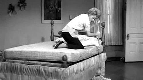Lucy and Her Electric Mattress