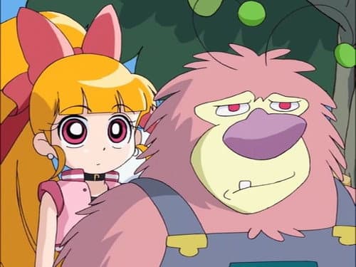 Coach Kaoru's Crash-Course Soccer! / Fuzzy in Love!