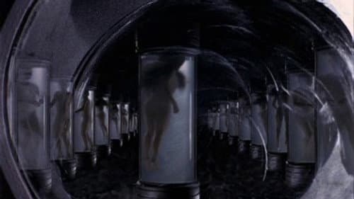 Mutiny