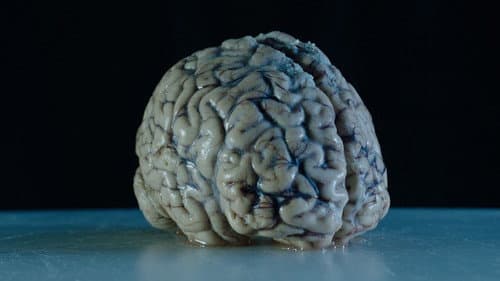 What Power Do Thoughts Have?