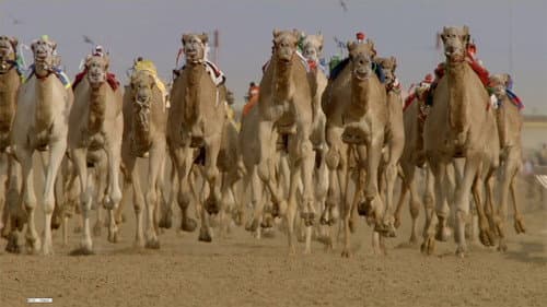 Shifting Sands