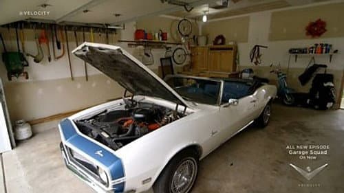 Camaro in Crisis