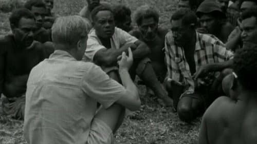 Cargo Cult