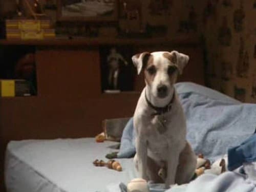 Oliver's Best Friend