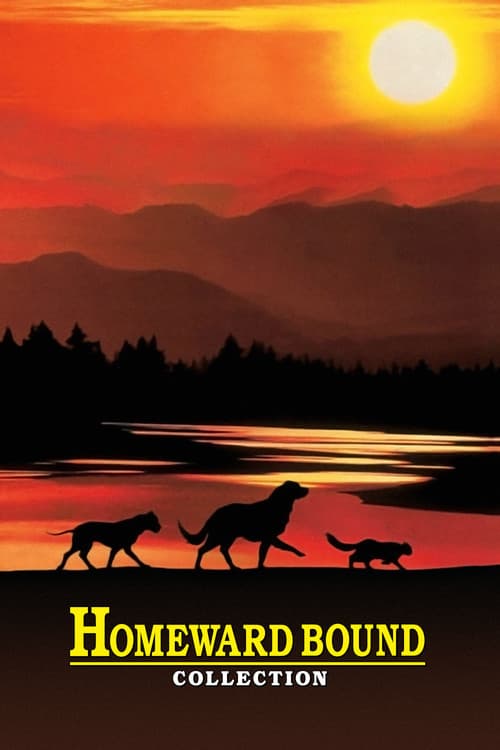 Homeward Bound Collection