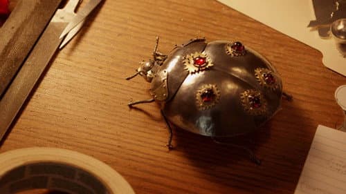 Lady Bug