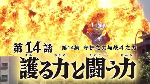 The Power to Protect and the Power to Fight