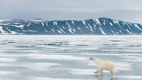 Svalbard