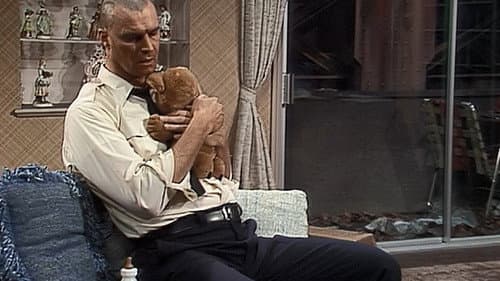 Bull's Baby
