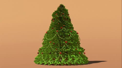 Cretaceous Conifers