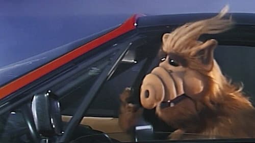 Baby, You Can Drive My Car