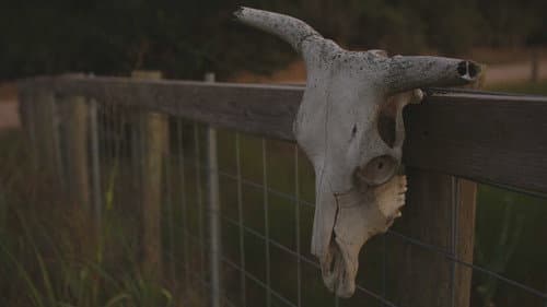 Mystery in Cuero
