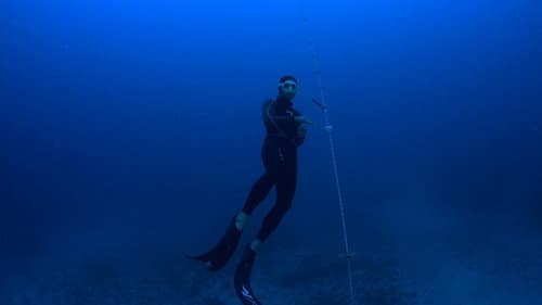 Red Sea