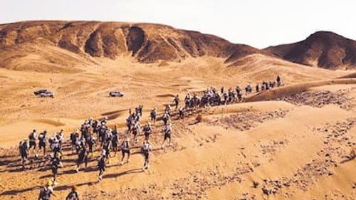 Lost in the Desert