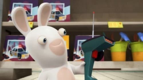 R.C. Rabbid